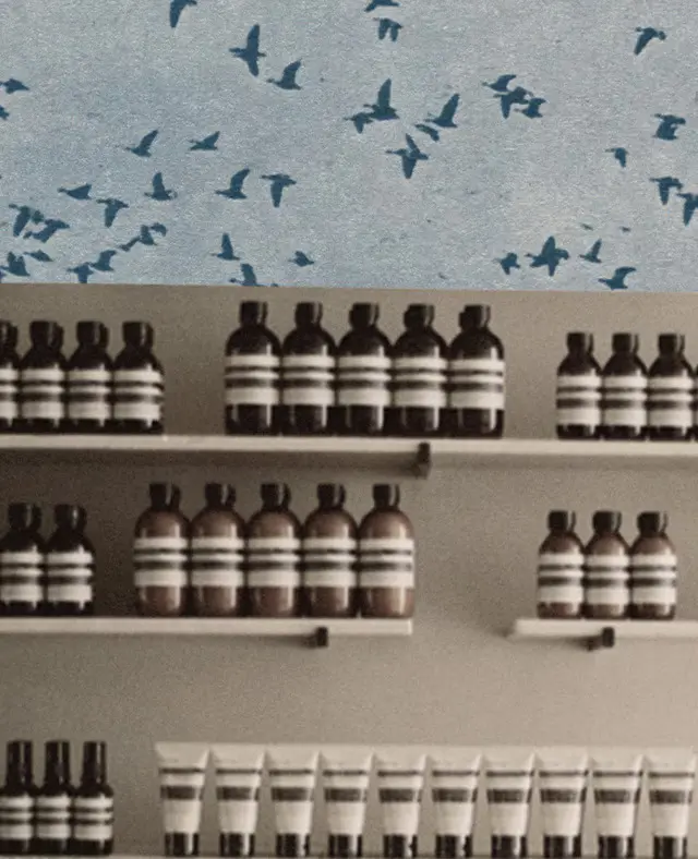 Collage depicting a photograph displaying Aesop amber bottles and birds in a landscape