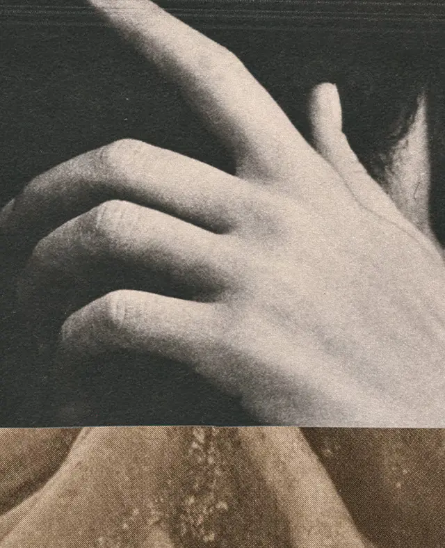 Photographic collage depicting hands and tree roots