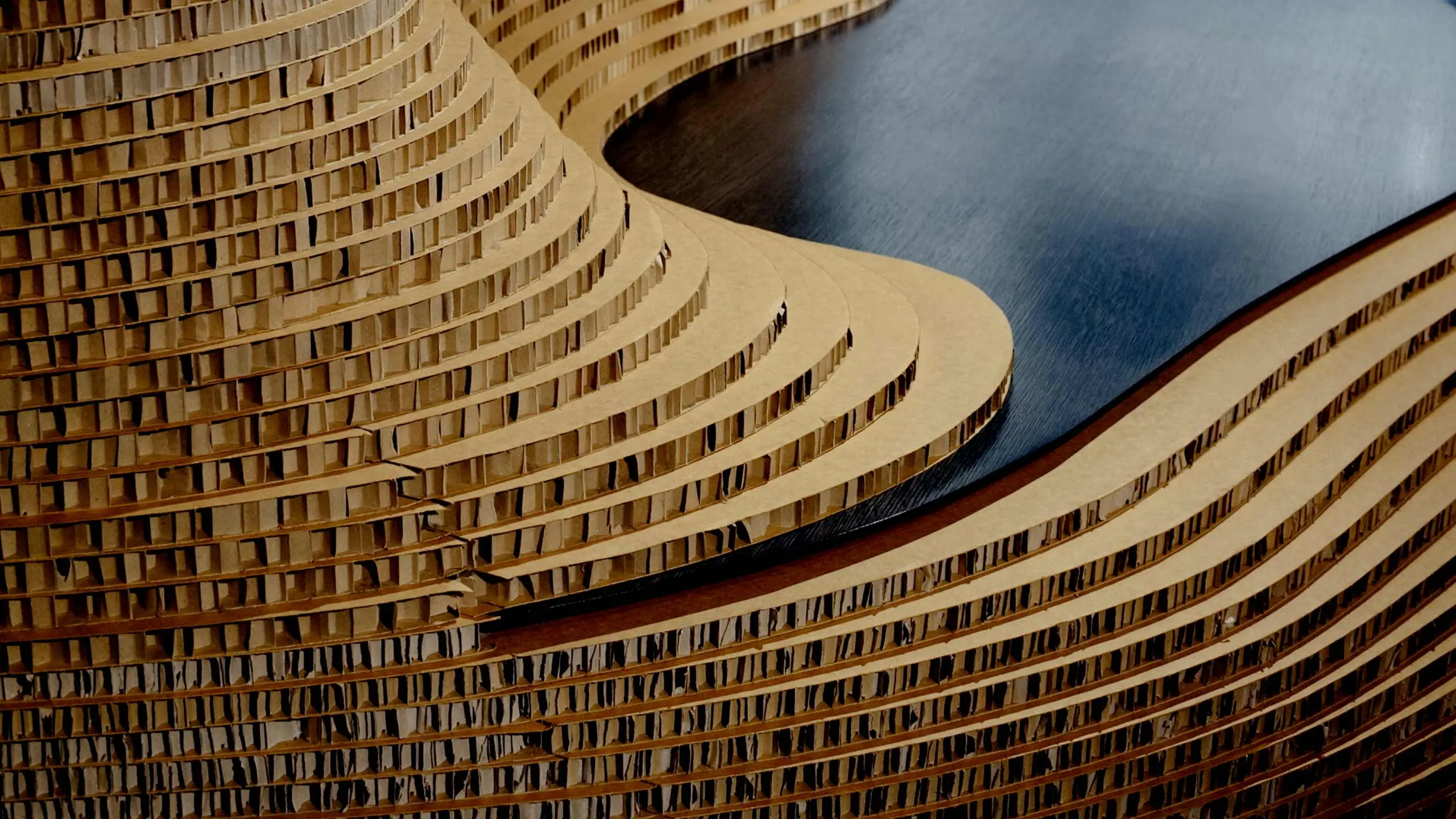 Two curved surfaces of contrasting textures. 