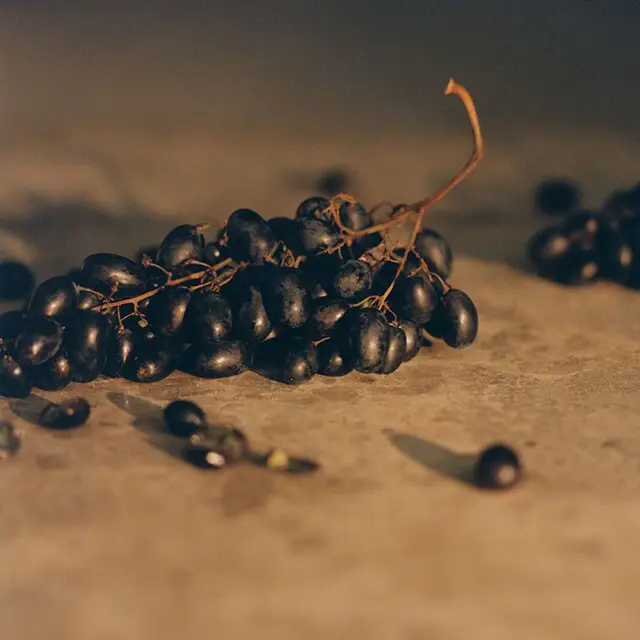 Close-up image of a bundle of grapes. 