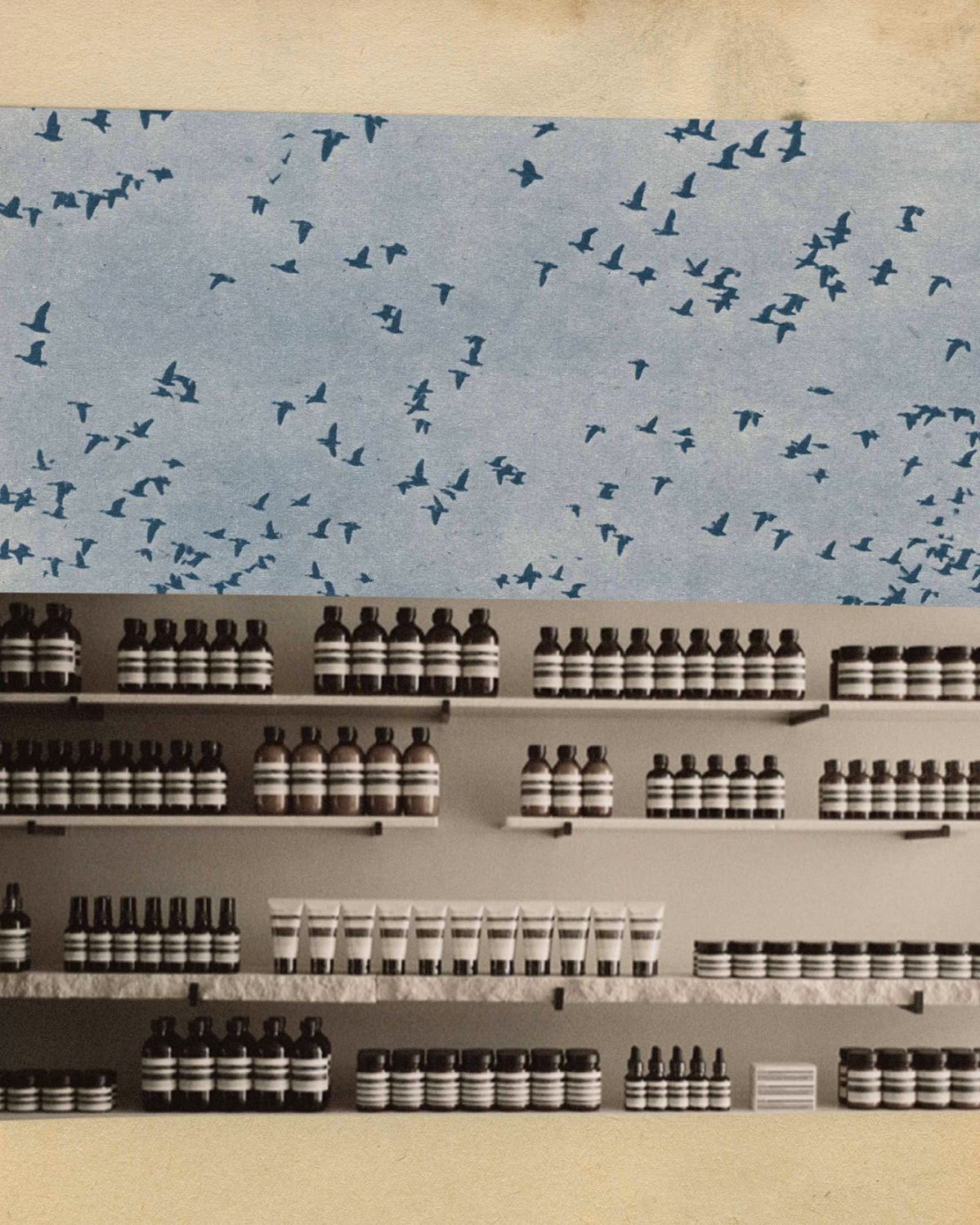 Sustainability at Aesop