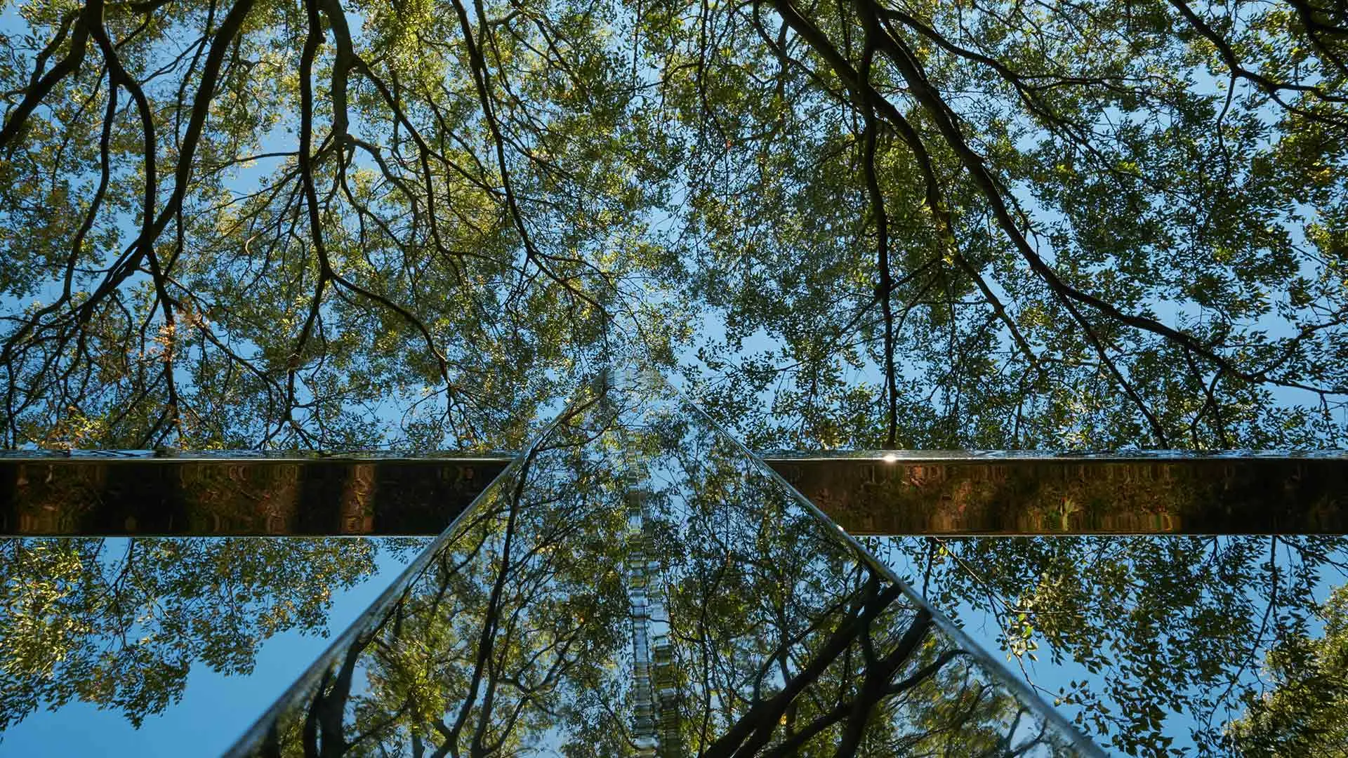 Aesop Tokyo store interior 