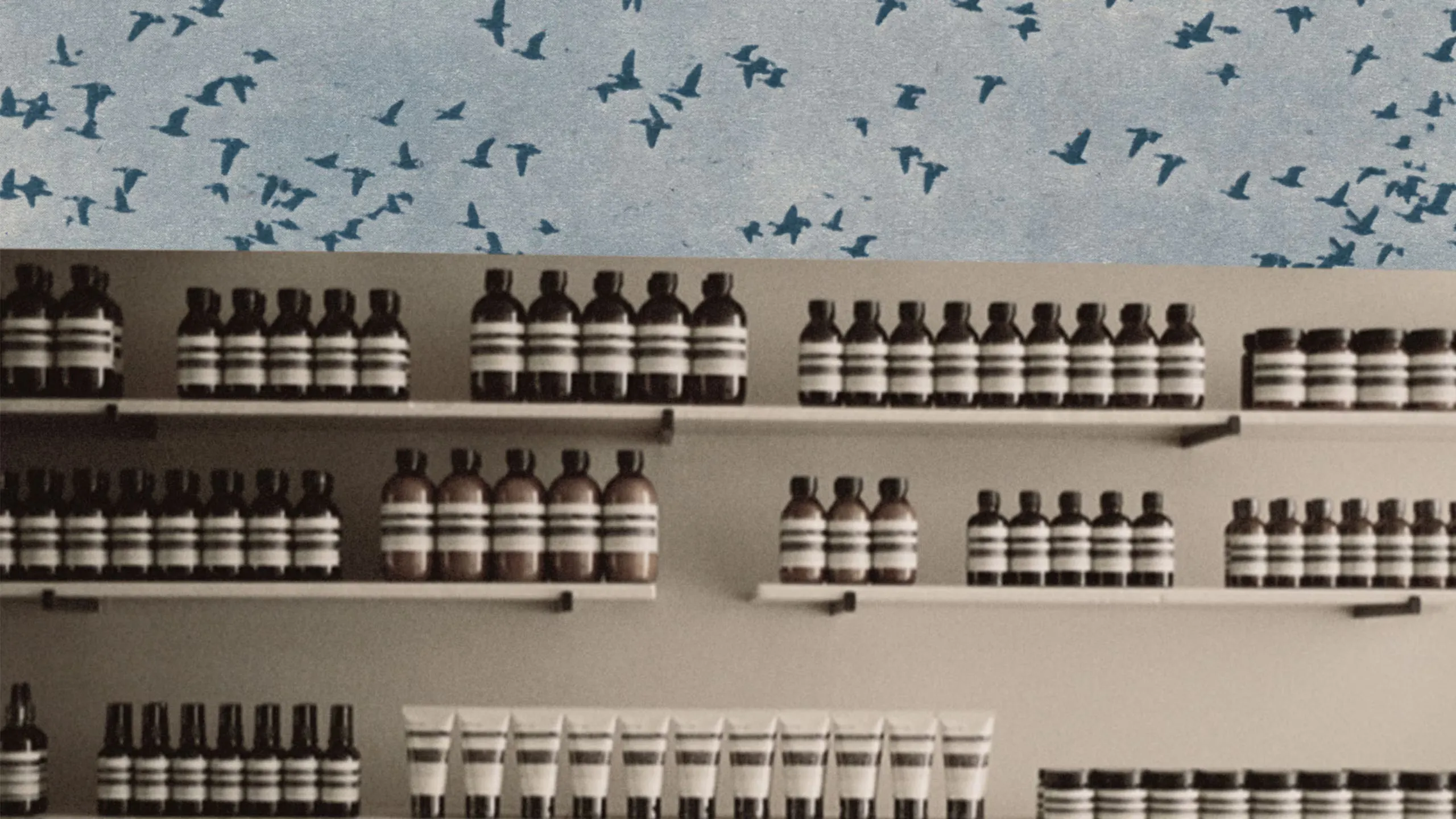 Collage depicting a photograph displaying Aesop amber bottles and birds in a landscape