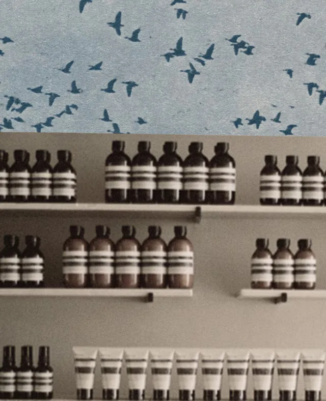 Collage depicting a photograph displaying Aesop amber bottles and birds in a landscape