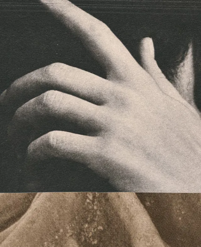 Photographic collage depicting hands and tree roots